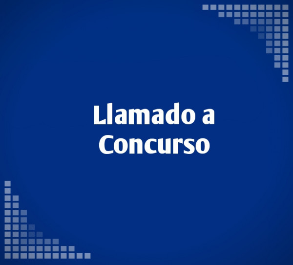 Llamado a concurso "Asistencia Técnica de Proyecto".