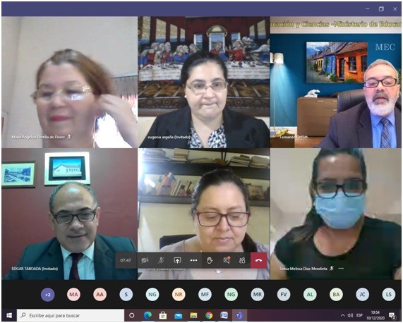 Realizan webinario sobre Acceso a Justicia para integrantes de la Red de DDHH del MEC