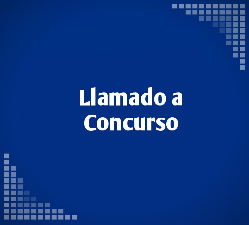 Llamado a Concurso “Consultoría en análisis y desarrollo de un sistema informático".